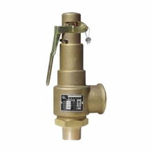 AK22X 16T 精密守护，安全与减压的双重保障——全铜单向全启式安全阀深度解析
